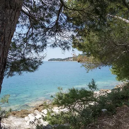 Vila Carpe Croatia Smokvica (Korcula)