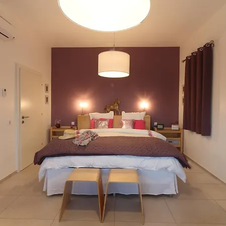 Carpe Croatia Vila